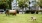 Huge leash free pet park 