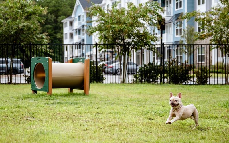 Pet-friendly community with leash-free pet park
